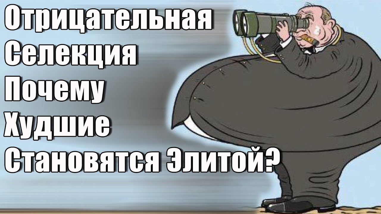 Отрицательная селекция: почему элитой становятся худшие