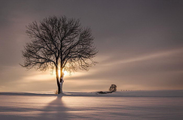 Задумчивая природа в фотографиях Heiko Gerlicher