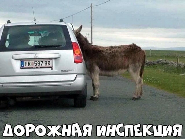 Автовсячина Автовсячина Автовсячина, авто, автомобиль, автоприкол, машина, прикол