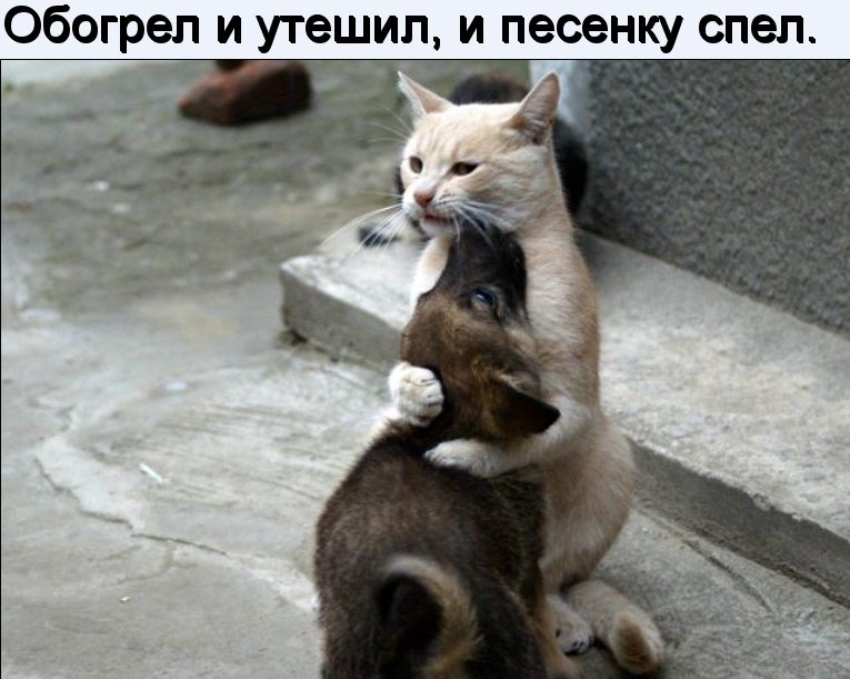 Дружба навеки