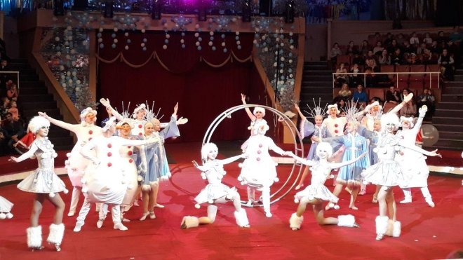В Подмосковье состоялся фестиваль самодельного циркового искусства