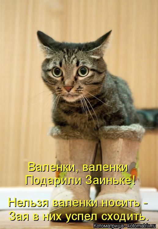 Смешные котоматрицы)) Смешные котоматрицы))