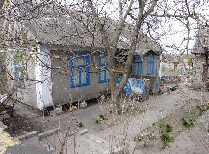 Дом Полины Райко. Дорога в рай: Наивная живопись украинской художницы, которая взялась за кисть в 69 лет и нарисовала свою жизнь