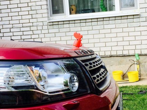 Весёлые шильдики на авто Весёлые шильдики на авто