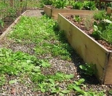 ���������� �������