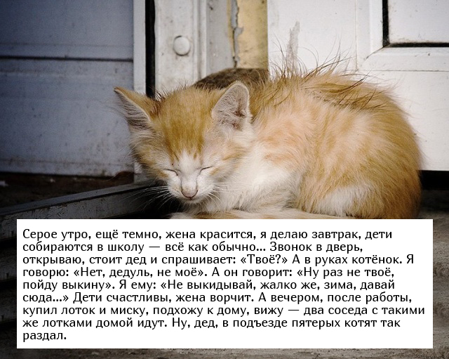 Невыдуманные добрые истории, которые настроят вас на позитивный лад (19 фото) Невыдуманные добрые истории, которые настроят вас на позитивный лад (19 фото)