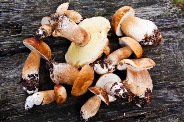 Июньские полезные продукты