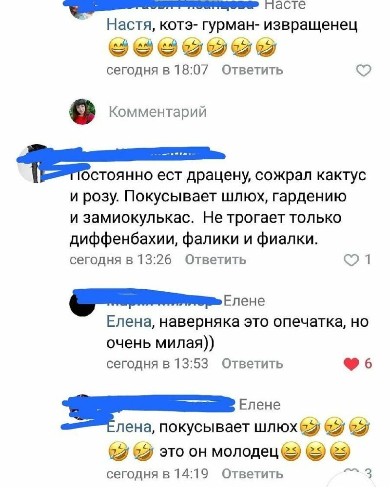 Кого она там выращивает? Граммар-наци плачут в сторонке
(21 фото)