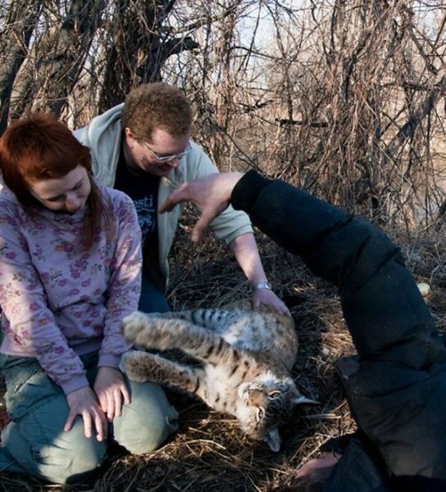 Вот это встреча! Очень неожиданно! (10 фото)