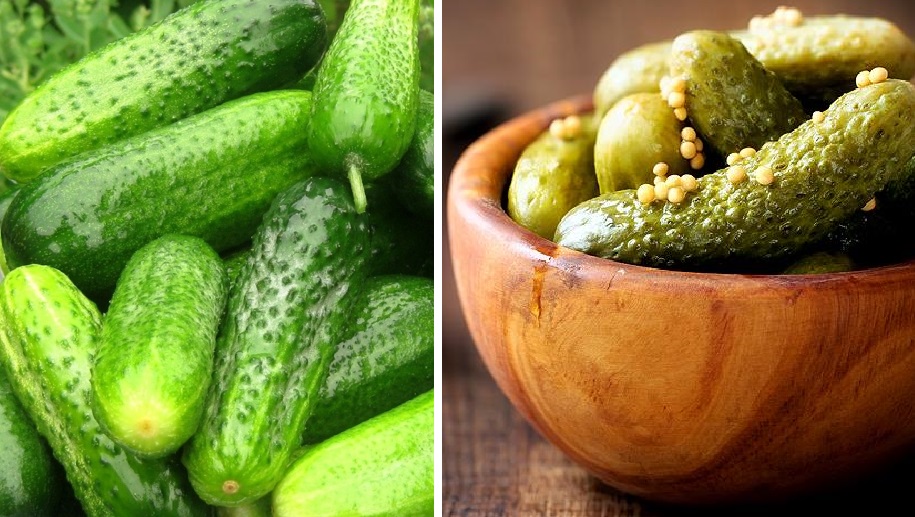 Малосольные огурчики: самые вкусные рецепты