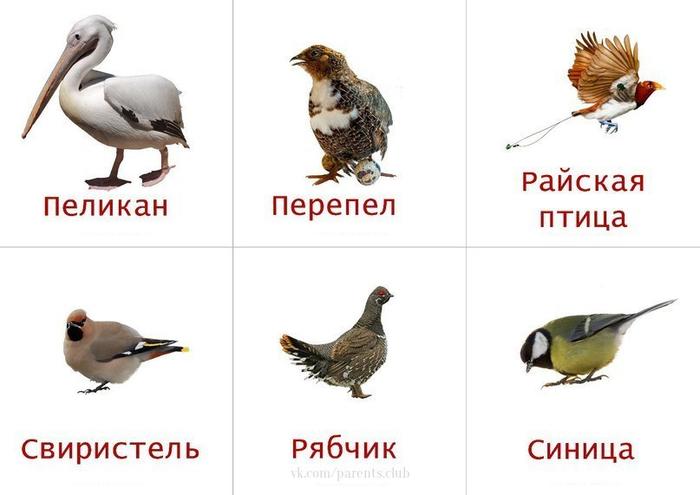 5 (700x495, 167Kb)