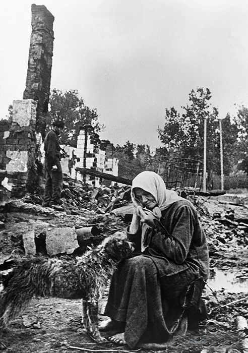 11 военных фотографий, которые берут за душу 11 военных фотографий, которые берут за душу