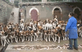 Эти прикольные анимации поднимут вам настроение