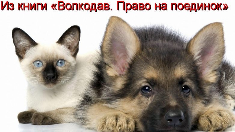 Дружба навеки