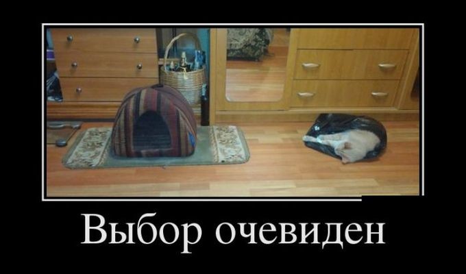 Параллельно лекарственными средства для потенции после 50 внутренний страх, что средства для потенции после 50