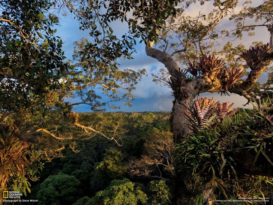 Лучшие фотографии National Geographic (подборка) Лучшие фотографии National Geographic (подборка)