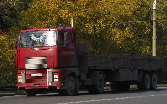 МАЗ выпустил новые модели в последствии на базе 5445. МАЗ выпустил новые модели в последствии на базе 5445.