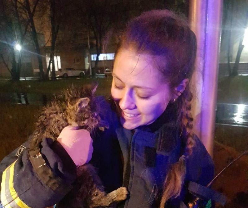Участница отряда «СпасРезерв» Мария Гринь с избавленным от беды котёнком/Дмитрий Завражин