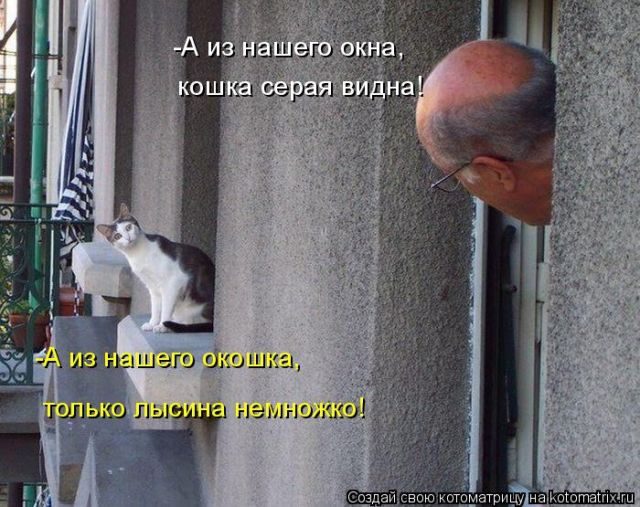 Смешные котоматрицы)) Смешные котоматрицы))
