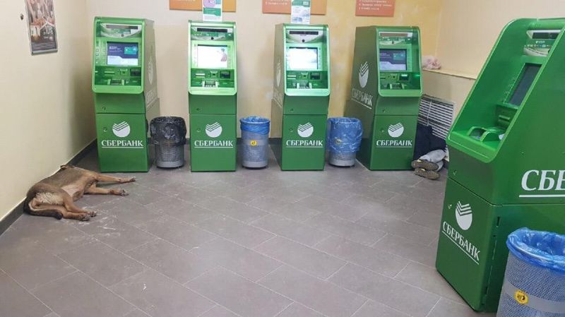 Ночью в отделения самообслуживания Сбербанка лучше не соваться Ночью в отделения самообслуживания Сбербанка лучше не соваться