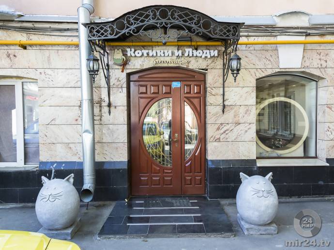 Один день в котокафе «Котики и люди» Один день в котокафе «Котики и люди»