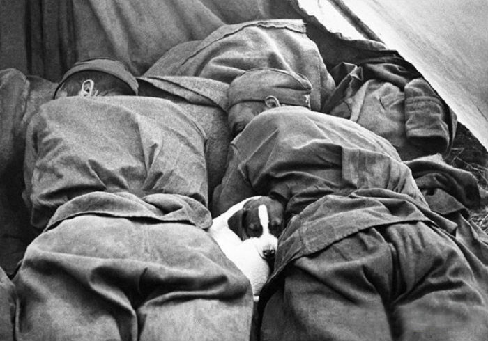 11 военных фотографий, которые берут за душу 11 военных фотографий, которые берут за душу