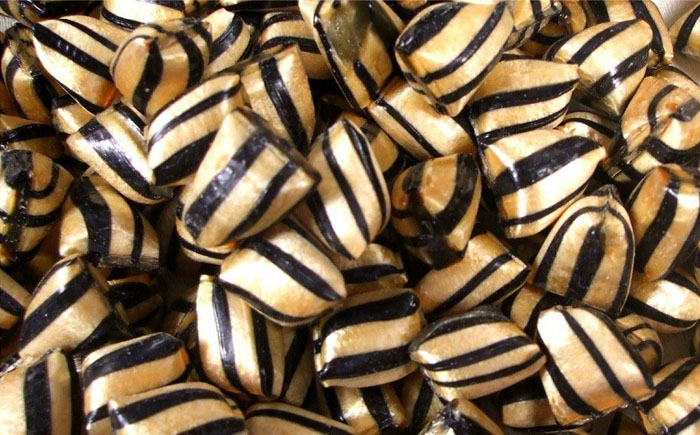 91 10 шокирующих случаев трагических смертей от еды