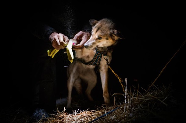 National Geographic выбрал лучшие фото 2015 года