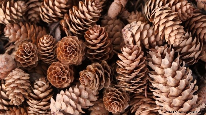 3925073_original (700x393, 231Kb)