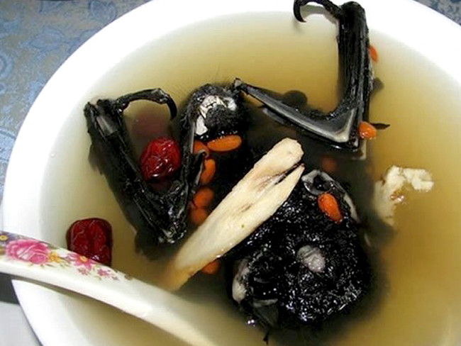 6. Фруктовый суп из летучей мыши (остров Палау, Микронезия) блюдо, мир, экзотика