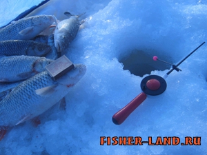 Зимняя донная снасть, зимняя рыбалка, ловля судака зимой
