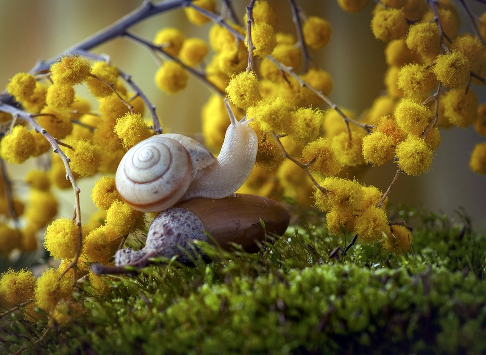 ����� �� �������� ����� ...