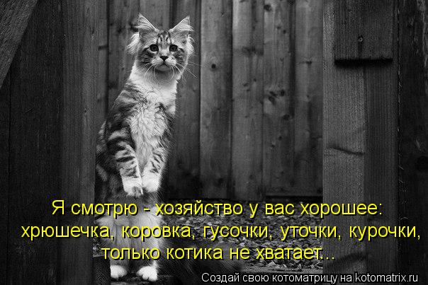 Котоматрица - Я смотрю - хозяйство у вас хорошее:  хрюшечка, коровка, гусочки, уточк