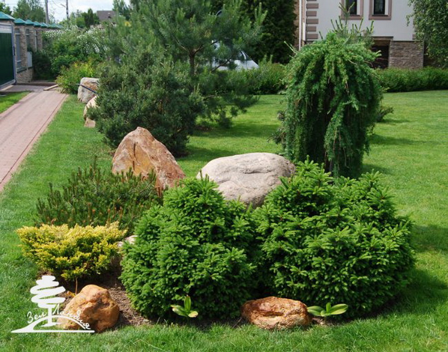 Дизайн из хвойных и кустарников Дизайн из хвойных и кустарников