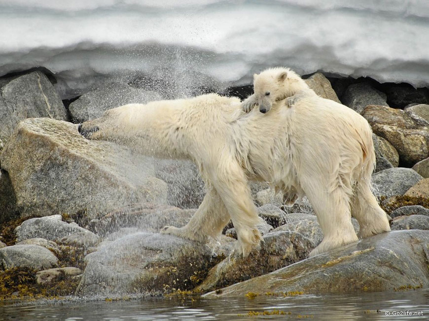 25 лучших фотографий National Geographic. Часть 2