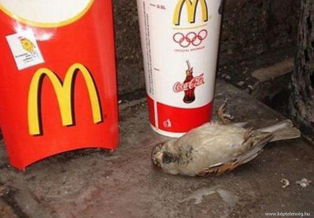 «Макдоналдс» — зло «Макдоналдс» — зло зло, макдональдс, прикол