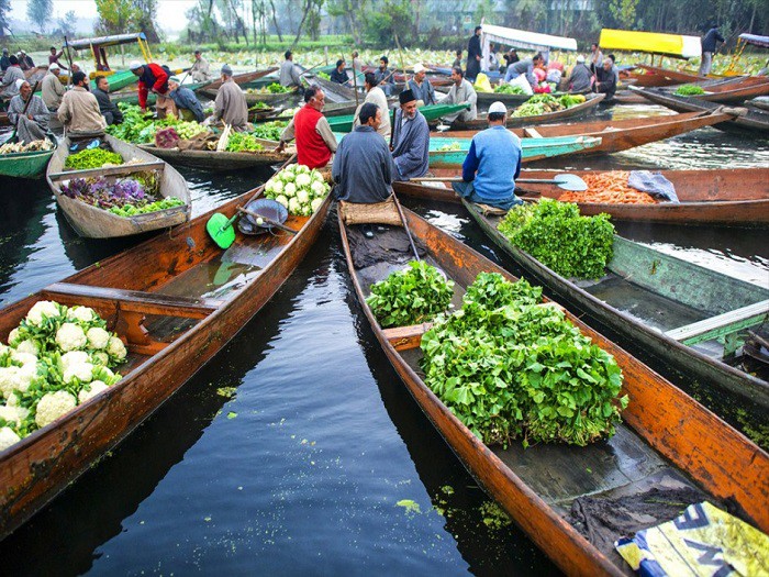 7. Бизнес на озере Дал в Шринагаре еда, плавучие рынки, факты