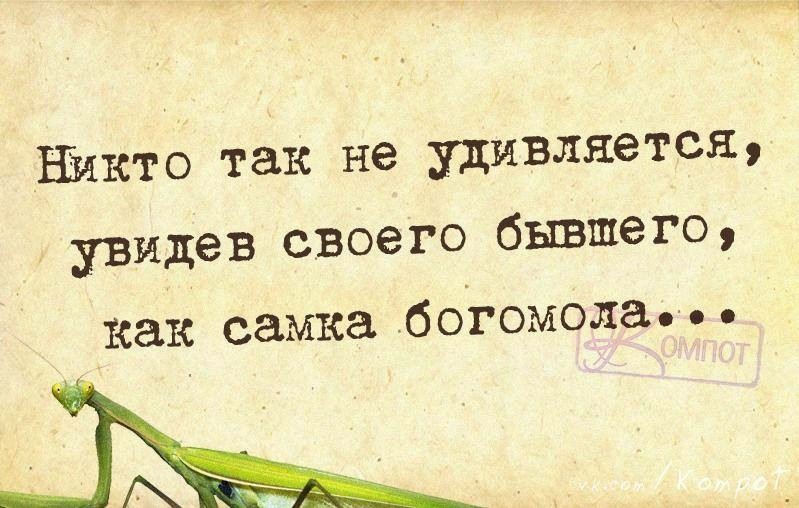 Жизненные &quot;компотные&quot; открытки. "компот", открытки, прикол, юмор