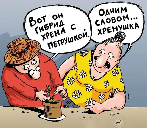 Ответы@Mail.Ru: Какой у вас любимый анекдот про дачников?