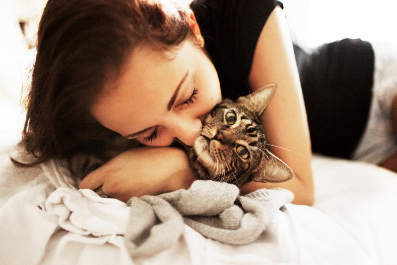 19 причин, почему каждому нужен свой кот. 19 причин, почему каждому нужен свой кот.
