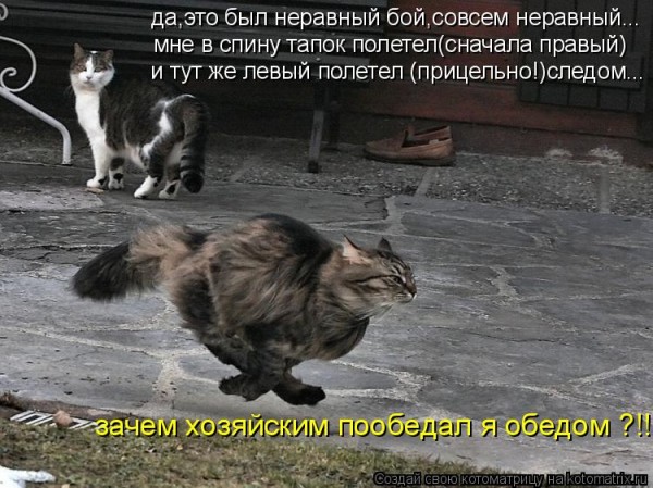 Мысли вслух :)