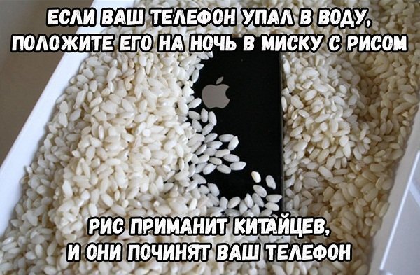 Очередная порция картинок с подписями Очередная порция картинок с подписями
