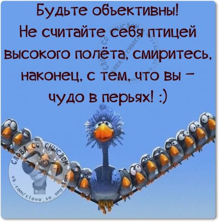 Фразочки, картиночки, позитивчик...
