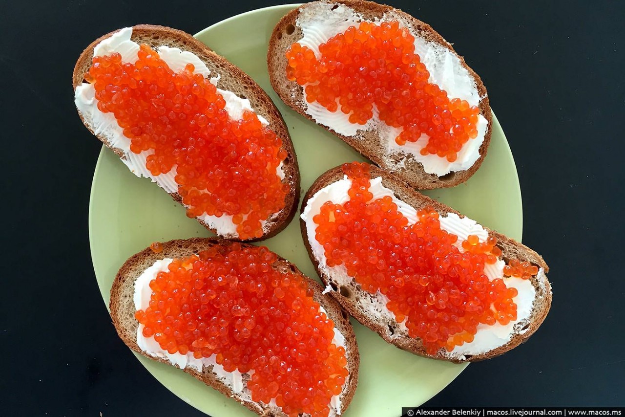 FOX NEWS: «Викторию Нуланд, после встречи с Владиславом Сурковым, разбил паралич»