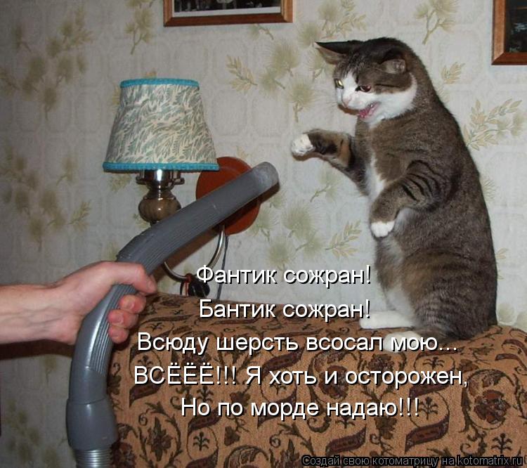 Фантик сожран! Бантик сожран! Всюду шерсть всосал мою... ВСЁЁЁ!!! Я хоть и осторожен, Но по морде над... Фантик сожран! Бантик сожран! Всюду шерсть всосал мою... ВСЁЁЁ!!! Я хоть и осторожен, Но по морде надаю!!!