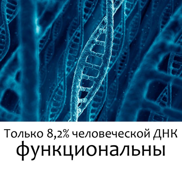 ДНК человека. Новые ответы или новые вопросы?