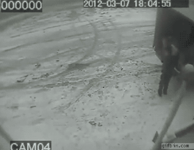 25 гифок о невероятном везении