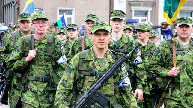 Для борьбы с русским населением Эстония официально вооружает нацистов 