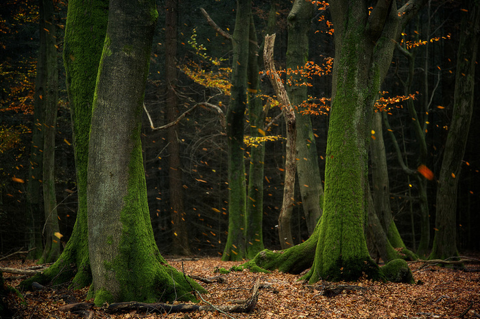     : Lars van de Goor