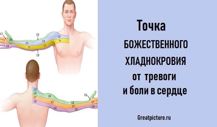 Точка божественного хладнокровия от тревоги и боли в сердце